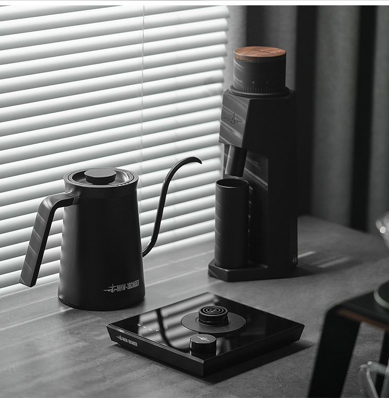 Assassin Gooseneck Electric Kettle