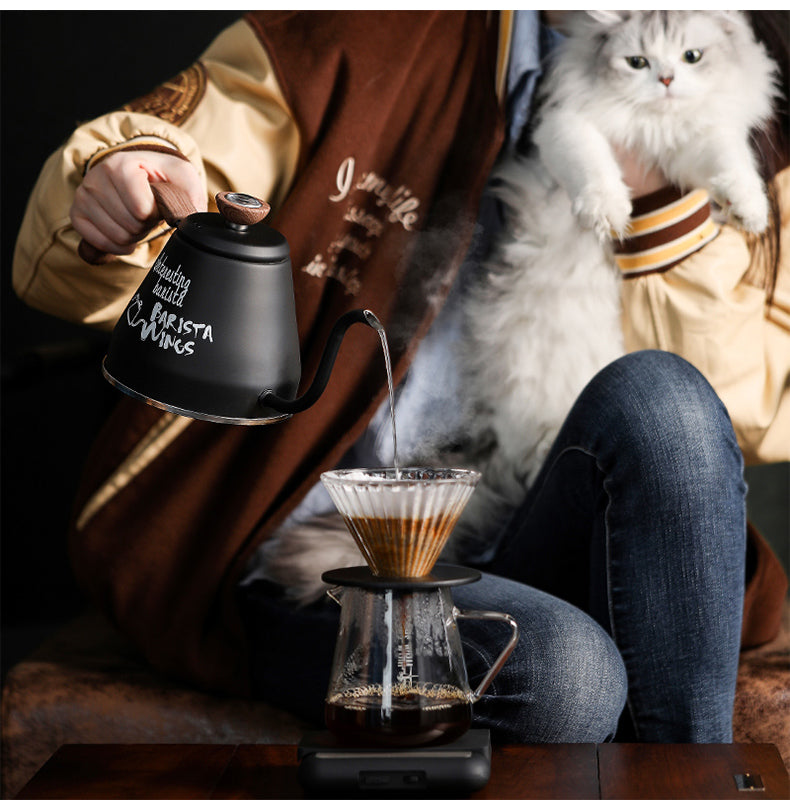 Outdoor Pour Over Kettle