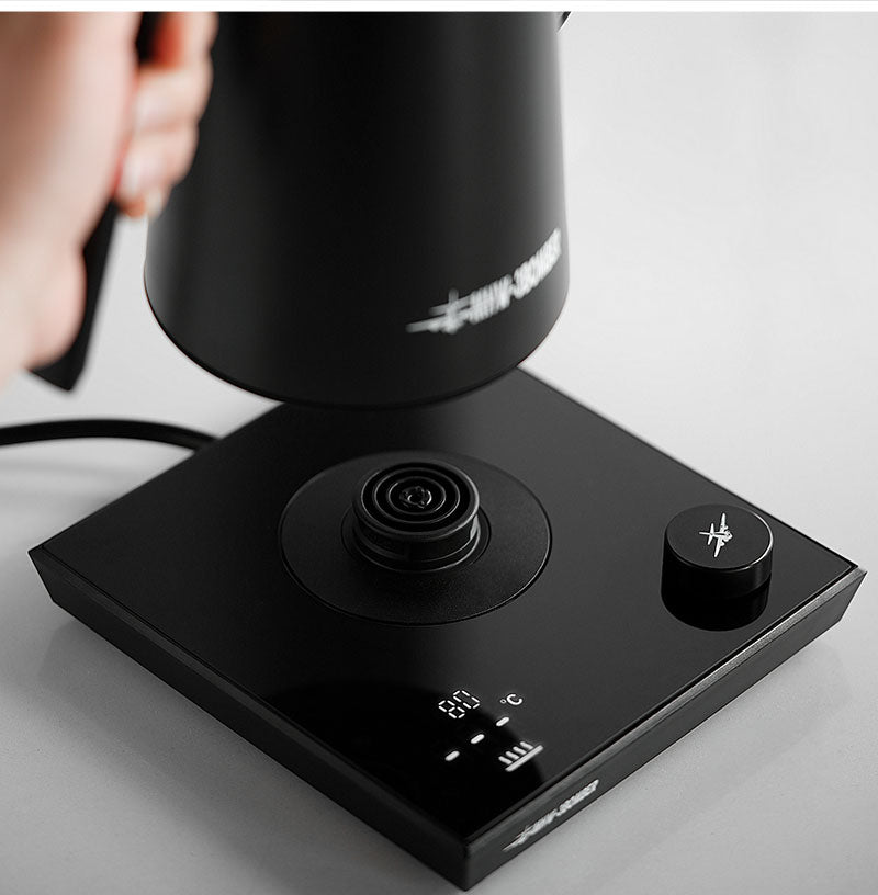 Assassin Gooseneck Electric Kettle